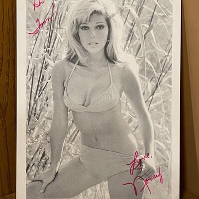 Vintage Autographed Photo of Nancy Sinatra