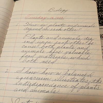 Vintage Collection of Handwritten High School Notes and Reports