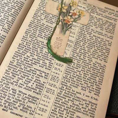 Collection of Bibles from 1900's