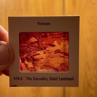 Large Collection of Photographic Ephemera-Vietnam & Moon Landing