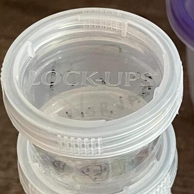 Lot of Small Interlocking Storage Jars