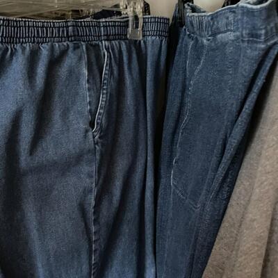 Lot of Women's Slacks