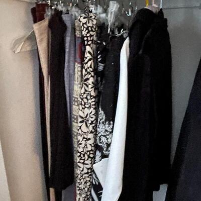 Lot of Women's Dress Pants, Shirts, and Skirts