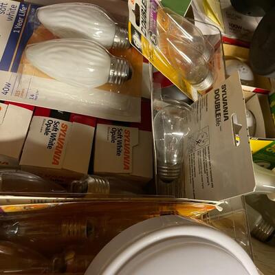 Large Lot of Lighting