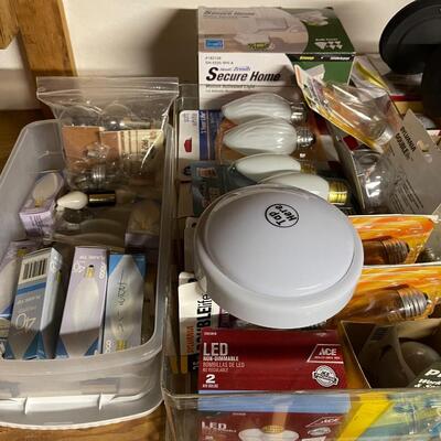 Large Lot of Lighting