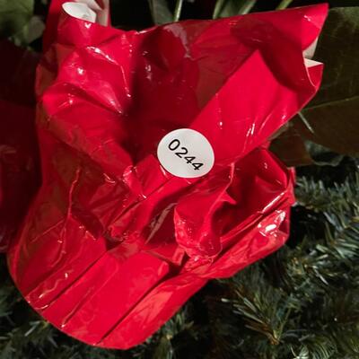 Lot of Christmas Greenery