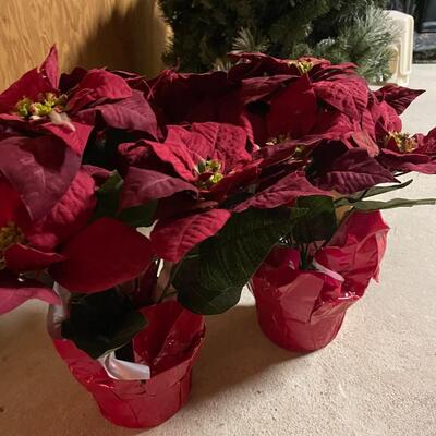 Lot of Christmas Greenery