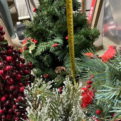 Lot of Small Christmas Trees