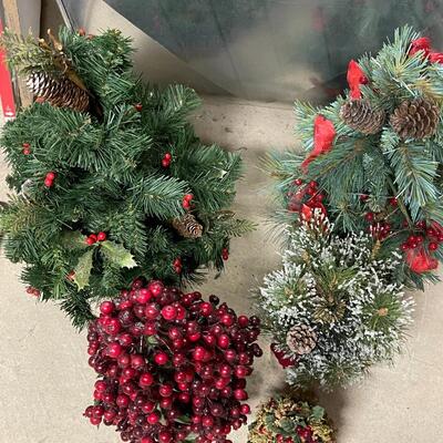 Lot of Small Christmas Trees