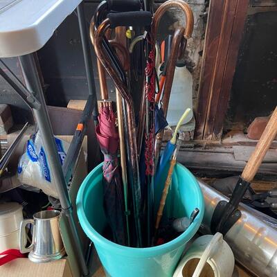 Lot of Canes and More