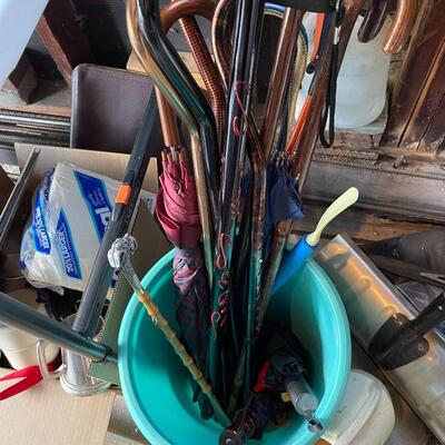 Lot of Canes and More