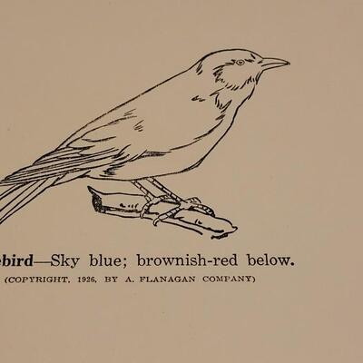Lot 3: 1926 Bird Pictures to Copy and Color by the Flanagan Company