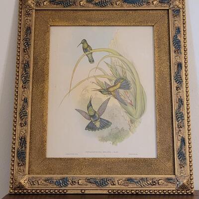 Lot 47: Antique Hand Colored Gould & Richter Bird Lithograph in Antique Frame with Original Label