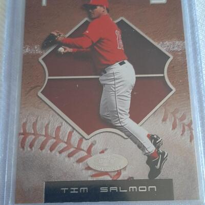 2002 TIM SALMON FLEER #12