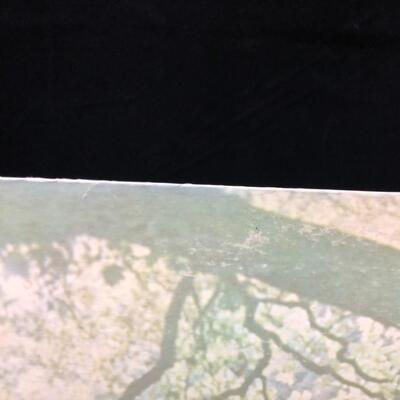 1971 Apple Label John Lennon Plastic Ono Band Vinyl Record