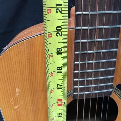 Vintage Seagull Godin Acoustic Guitar