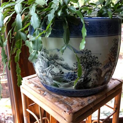 Blue and White Asian Planter Vase with Succulent Plant