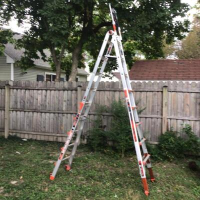 O806 Little Giant X-Treme Ladder
