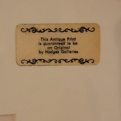 Lot 217: Antique Armstrong & Co. Botanical Lithograph FERN 18" Ã— 14" (C)