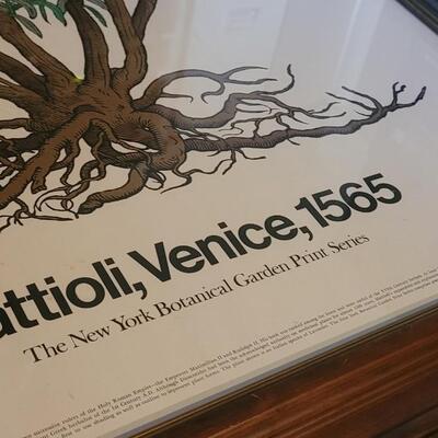 Lot 221: 1971 New York Botanical Garden Print Series - Mattioli, Venice 1565