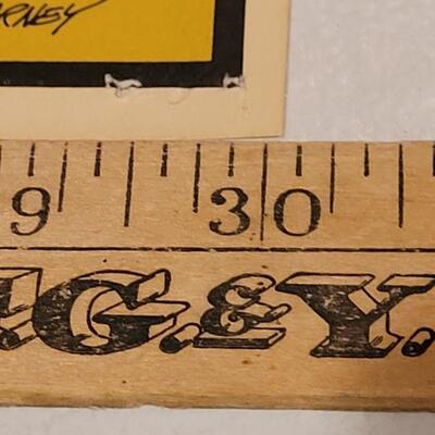 Lot 258: Vintage Fold Out Botanical Poster