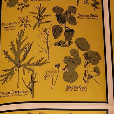 Lot 258: Vintage Fold Out Botanical Poster