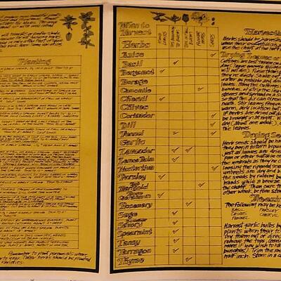 Lot 258: Vintage Fold Out Botanical Poster