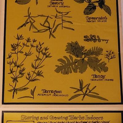 Lot 258: Vintage Fold Out Botanical Poster