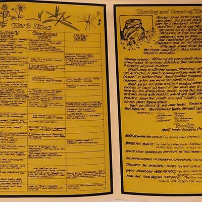 Lot 258: Vintage Fold Out Botanical Poster