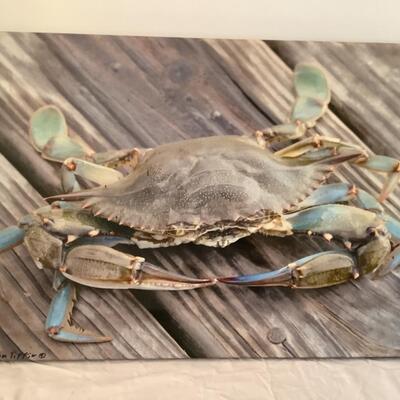E579 Crab Picture on Stretched Canvas by Tom Tiffin