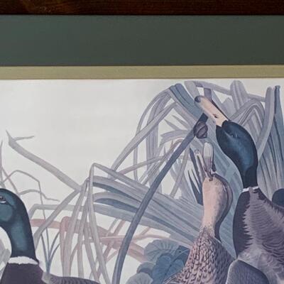 Lot 299: "Mallard Duck" Print