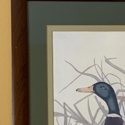 Lot 299: "Mallard Duck" Print