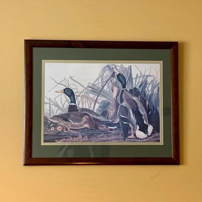 Lot 299: "Mallard Duck" Print