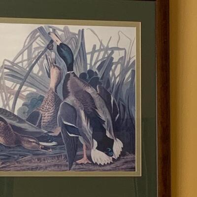 Lot 299: "Mallard Duck" Print