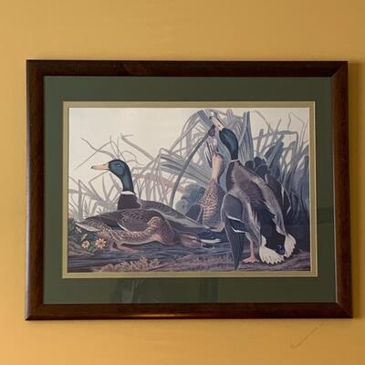 Lot 299: "Mallard Duck" Print