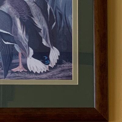 Lot 299: "Mallard Duck" Print