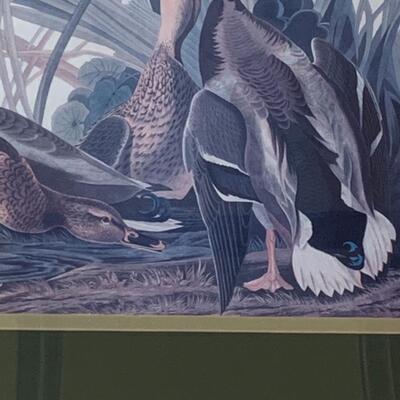 Lot 299: "Mallard Duck" Print