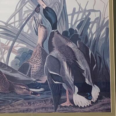 Lot 299: "Mallard Duck" Print