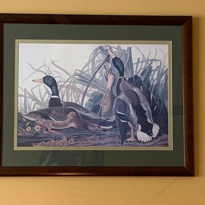 Lot 299: "Mallard Duck" Print