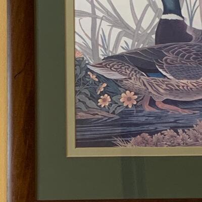 Lot 299: "Mallard Duck" Print