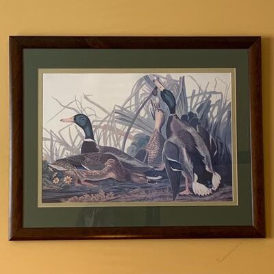 Lot 299: "Mallard Duck" Print