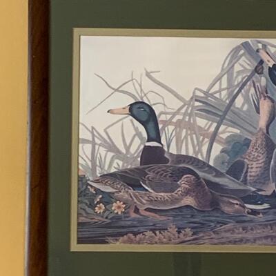 Lot 299: "Mallard Duck" Print