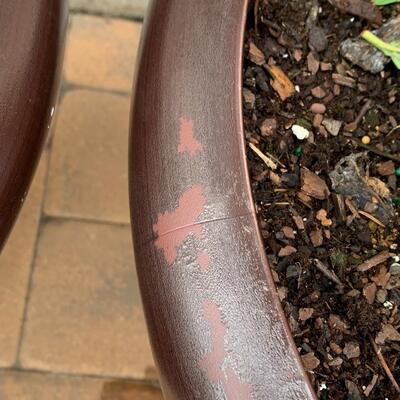 Lot 347: Large Outdoor Planters & Plants