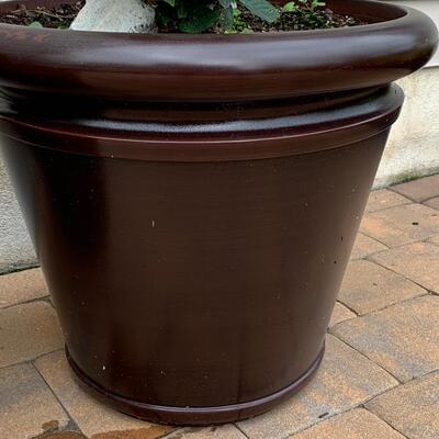 Lot 347: Large Outdoor Planters & Plants