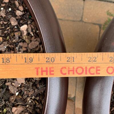 Lot 347: Large Outdoor Planters & Plants