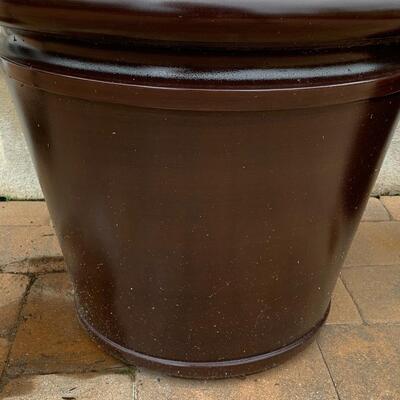 Lot 347: Large Outdoor Planters & Plants
