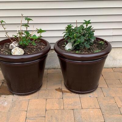 Lot 347: Large Outdoor Planters & Plants