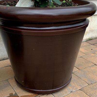 Lot 347: Large Outdoor Planters & Plants