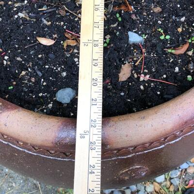 Extra Large Terra Cotta Brown Drip Glaze Garden Planter Pot