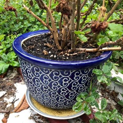 Lot of 2 Blue Pattern Glazed Planter Pots